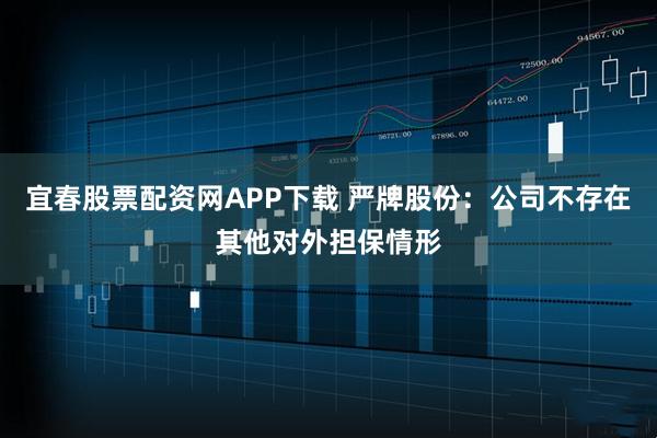 宜春股票配资网APP下载 严牌股份：公司不存在其他对外担保情形