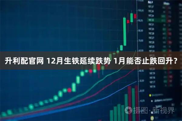 升利配官网 12月生铁延续跌势 1月能否止跌回升？