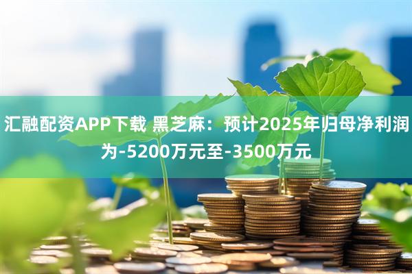 汇融配资APP下载 黑芝麻：预计2025年归母净利润为-5200万元至-3500万元